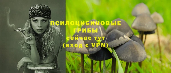 первитин Богородицк