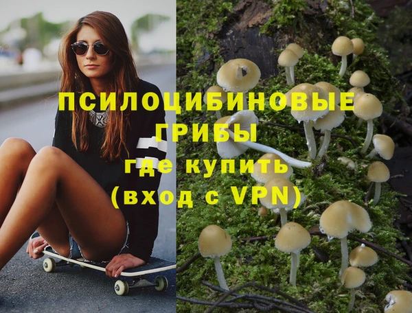 mdpv Белокуриха