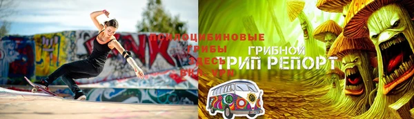 первитин Богородицк