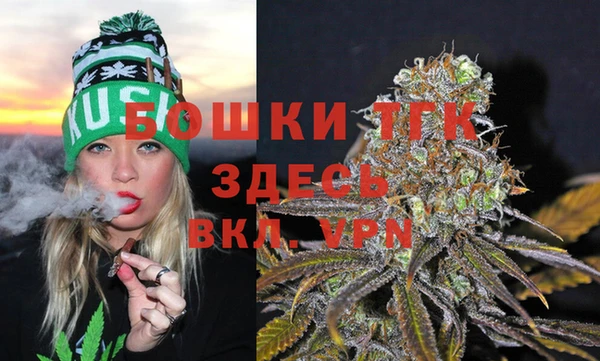 mdpv Белокуриха