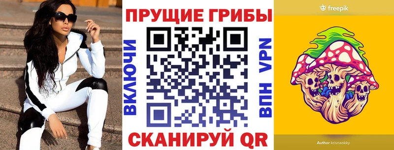 Галлюциногенные грибы MAGIC MUSHROOMS  цены наркотик  Кизляр 