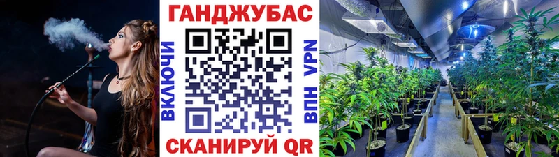 Шишки марихуана VHQ Кизляр